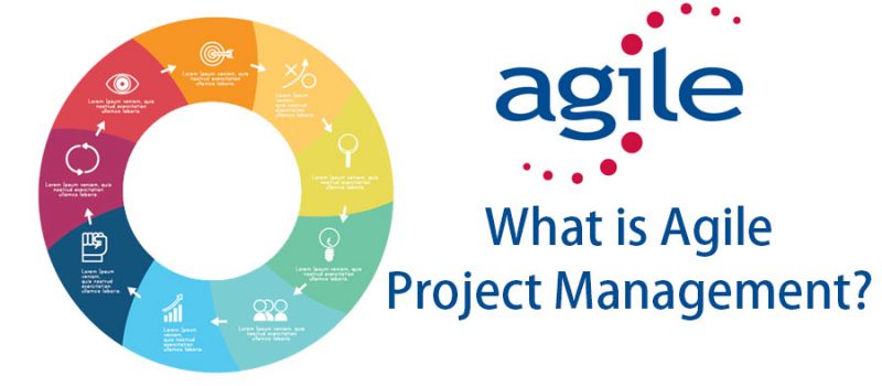 Entrevista Mackenzie – Um novo modelo de gestão das organizações : Agile Project Management
